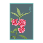 Pink Rose Balsam Flower Seeds Packet - Chive UK