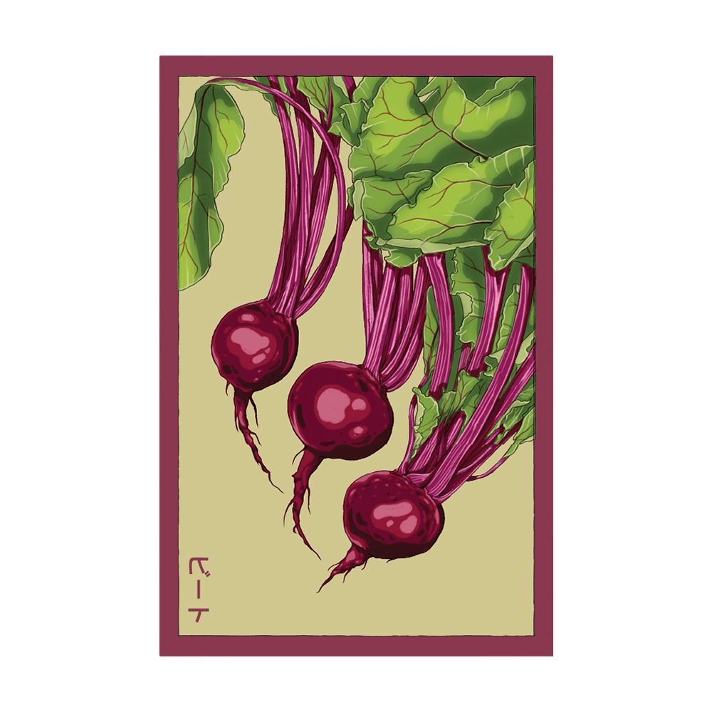 Beet Vegetable Seeds Packet - Chive UK
