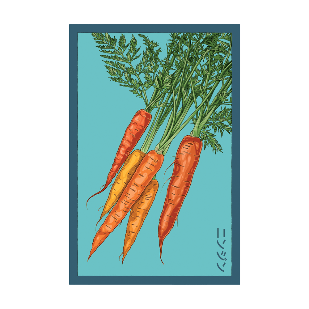 Carrot Vegetable Seeds Packet - Chive UK