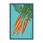 Carrot Vegetable Seeds Packet - Chive UK