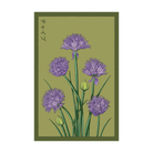 Chives Herb Seeds Packet - Chive UK