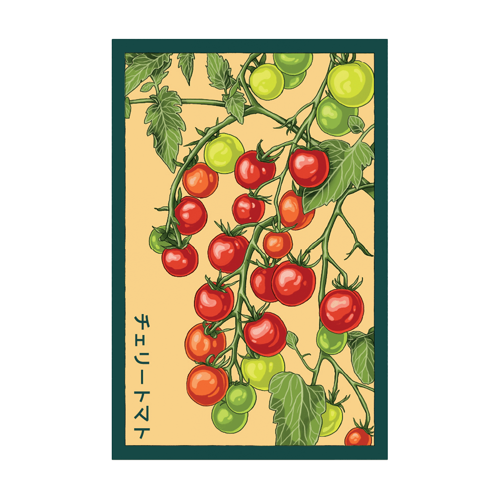 Cherry Tomato Vegetable Seeds Packet - Chive UK