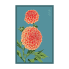 Dahlia Flower Seeds Packet - Chive UK