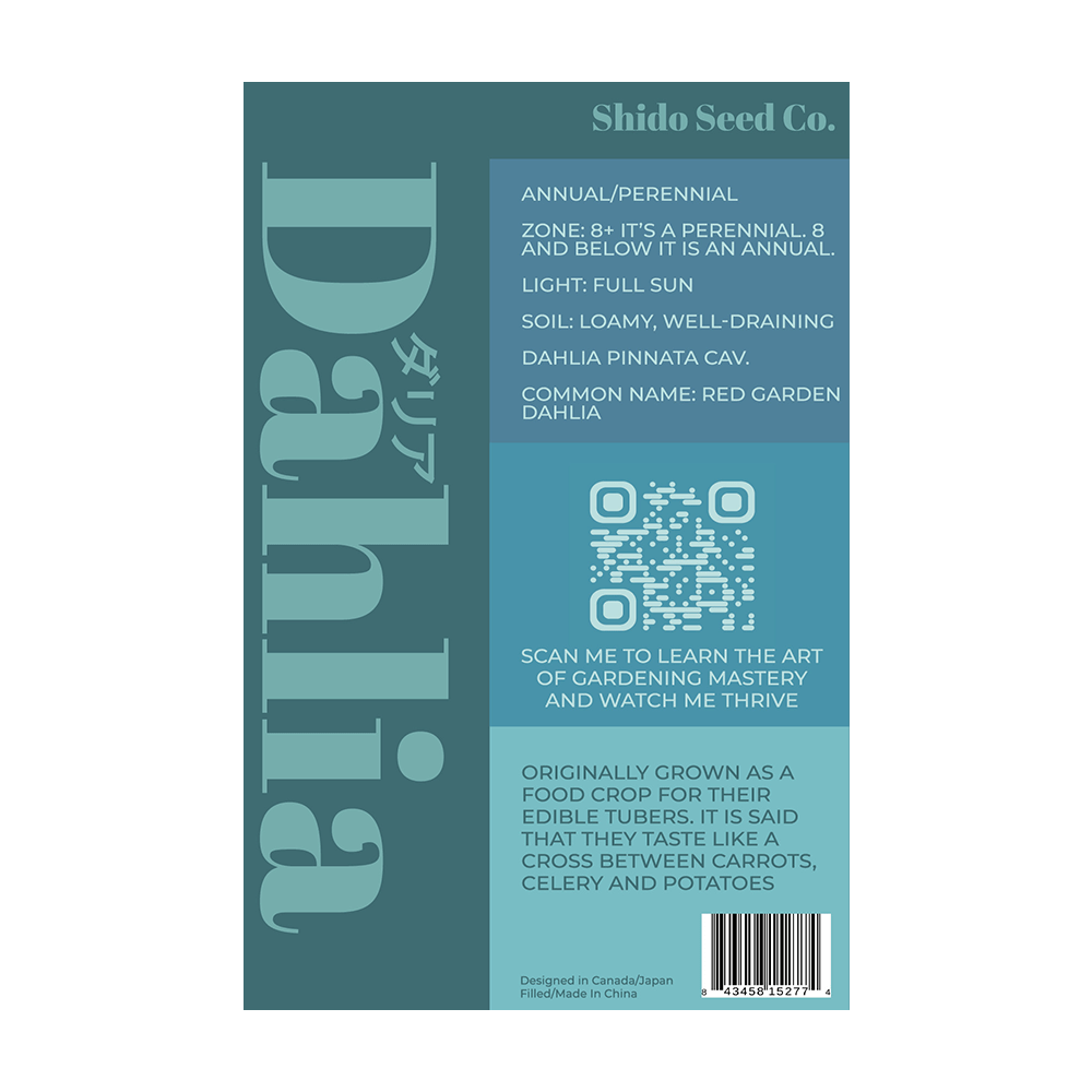 Dahlia Flower Seeds Packet - Chive UK
