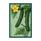 English Cucumber Vegetable Seeds Packet - Chive UK