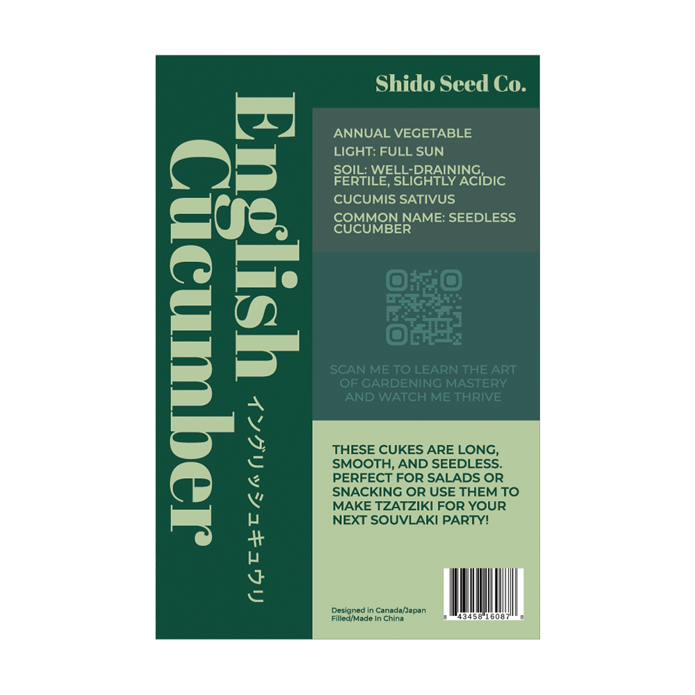 English Cucumber Vegetable Seeds Packet - Chive UK