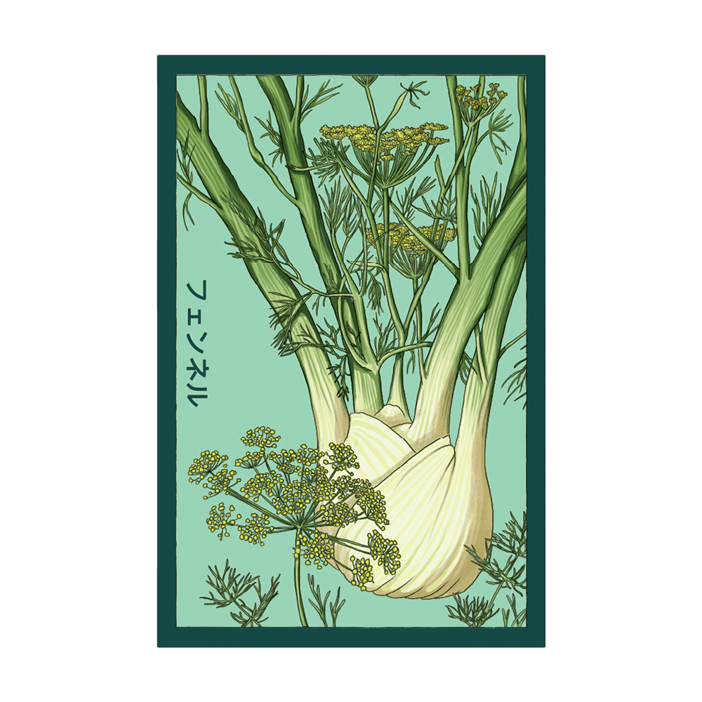 Fennel Vegetable Seeds Packet - Chive UK