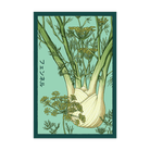 Fennel Vegetable Seeds Packet - Chive UK