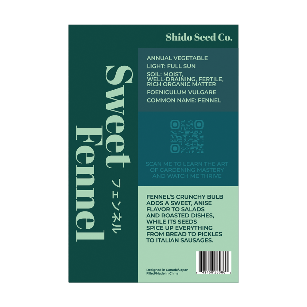 Fennel Vegetable Seeds Packet - Chive UK