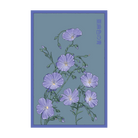 Flax Blue Flower Seeds Packet - Chive UK