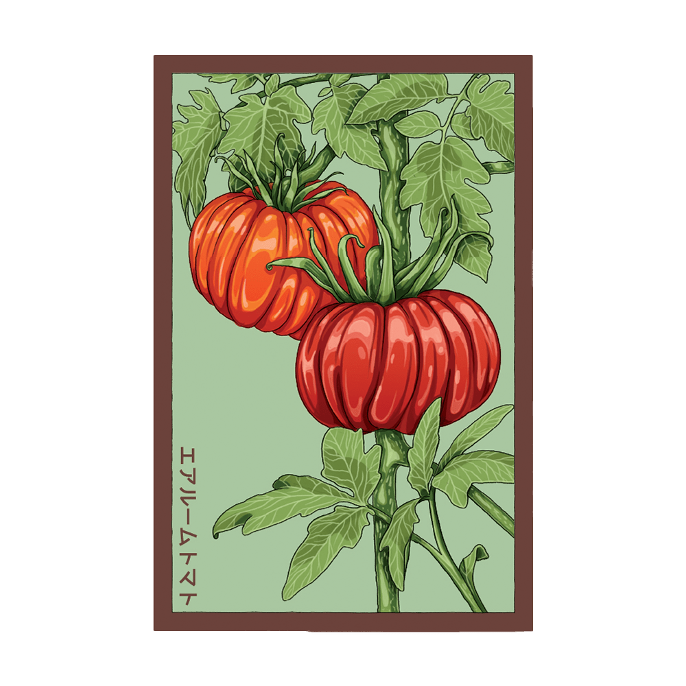 Heirloom Tomato Vegetable Seeds Packet - Chive UK