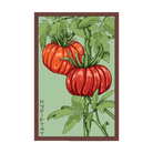 Heirloom Tomato Vegetable Seeds Packet - Chive UK