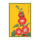Hollyhock Flower Seeds Packet - Chive UK