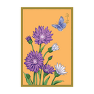 Immortelle Flower Seeds Packet - Chive UK