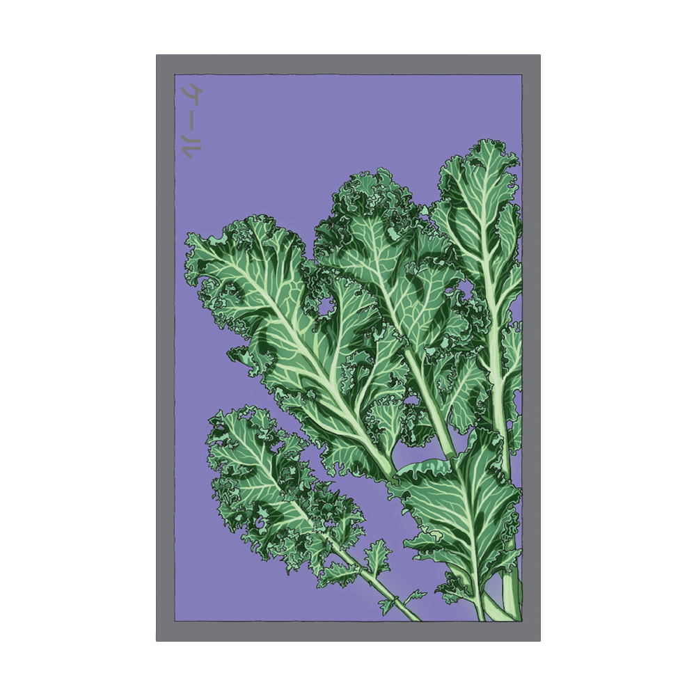 Kale Vegetable Seeds Packet - Chive UK