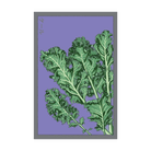 Kale Vegetable Seeds Packet - Chive UK