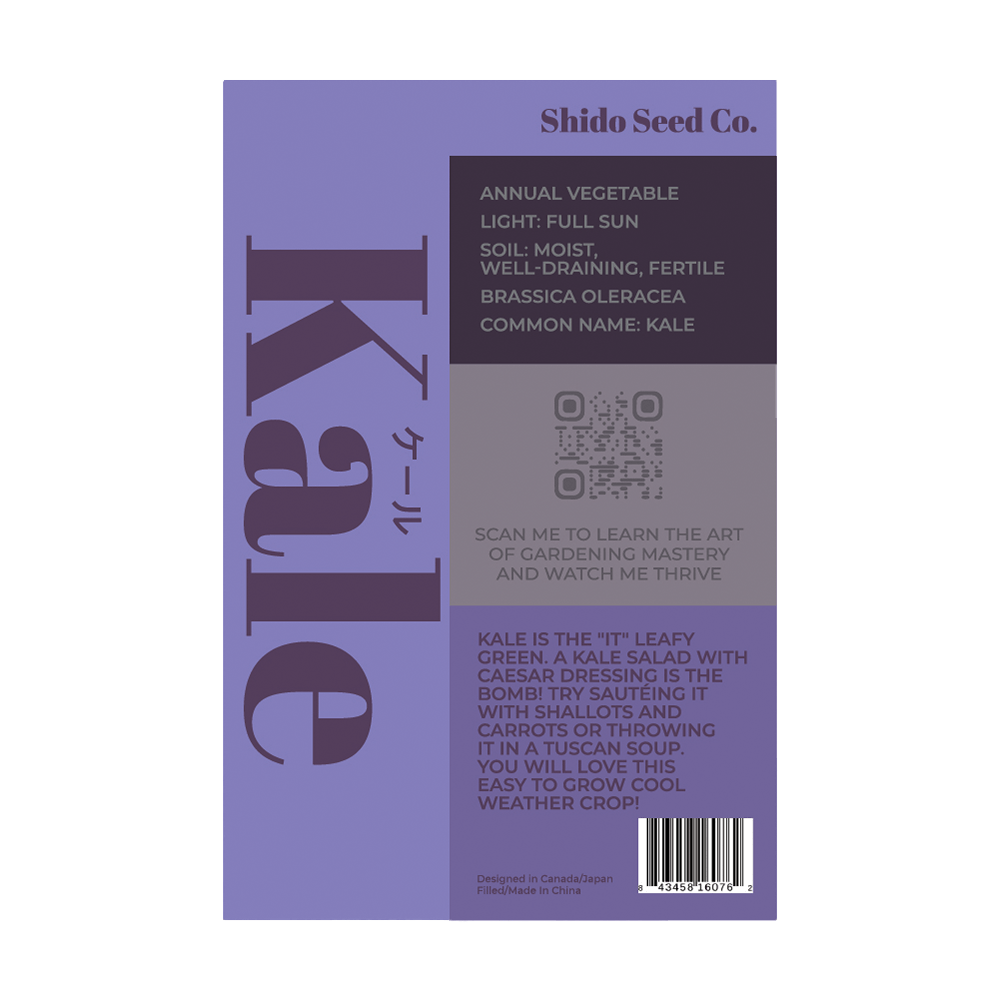 Kale Vegetable Seeds Packet - Chive UK