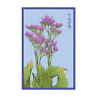 Sea Lavender Flower Seeds Packet - Chive UK