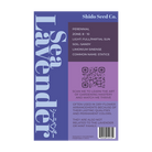 Sea Lavender Flower Seeds Packet - Chive UK