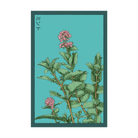 Mint Herb Seeds Packet - Chive UK