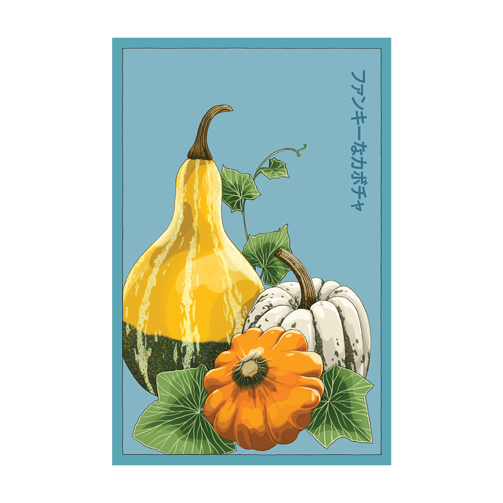 Funky Squash Vegetable Seeds Packet - Chive UK