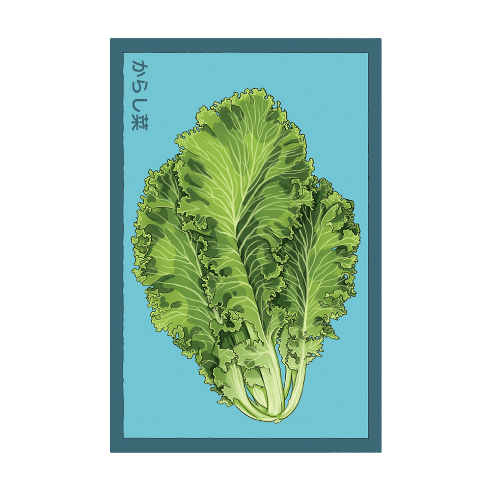 Mustard Greens Vegetable Seeds Packet - Chive UK