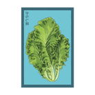 Mustard Greens Vegetable Seeds Packet - Chive UK