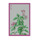 Oregano Herb Seeds Packet - Chive UK