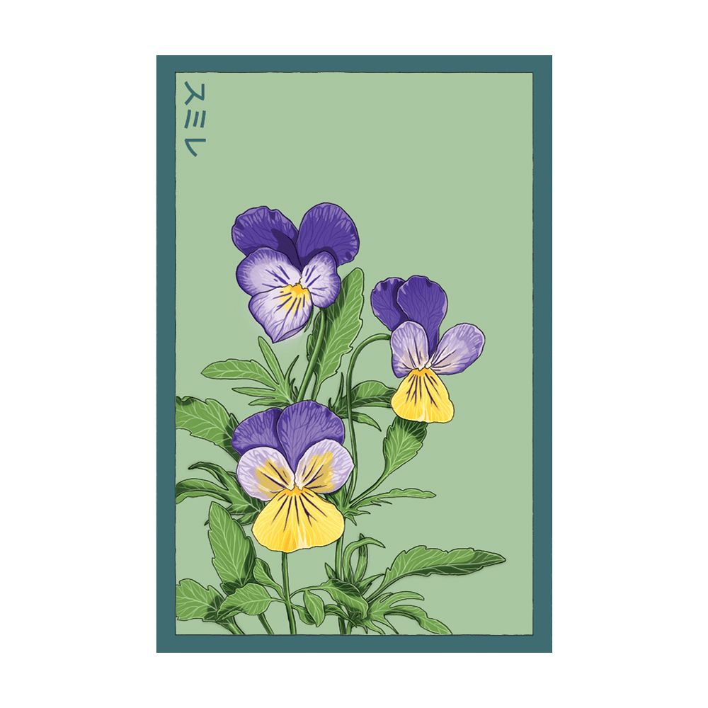Pansy Flower Seeds Packet - Chive UK