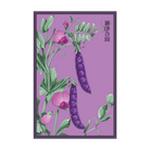 Purple Peas Vegetable Seeds Packet - Chive UK