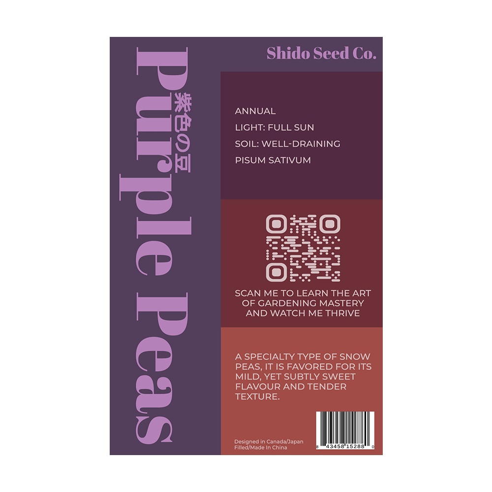 Purple Peas Vegetable Seeds Packet - Chive UK