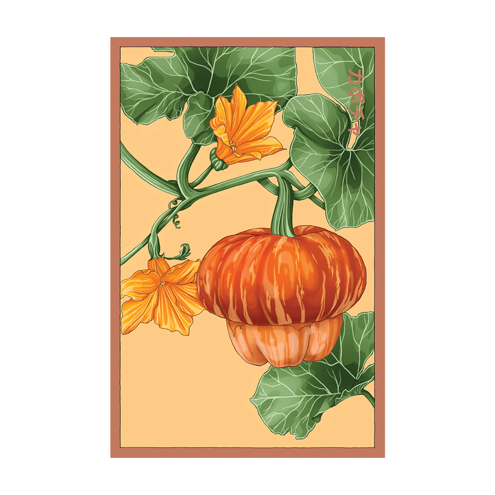 Pumpkin Squash Vegetable Seeds Packet - Chive UK