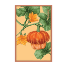 Pumpkin Squash Vegetable Seeds Packet - Chive UK