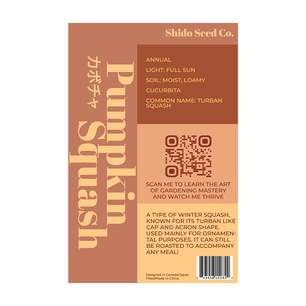 Pumpkin Squash Vegetable Seeds Packet - Chive UK