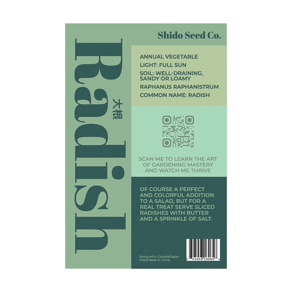 Radish Vegetable Seeds Packet - Chive UK