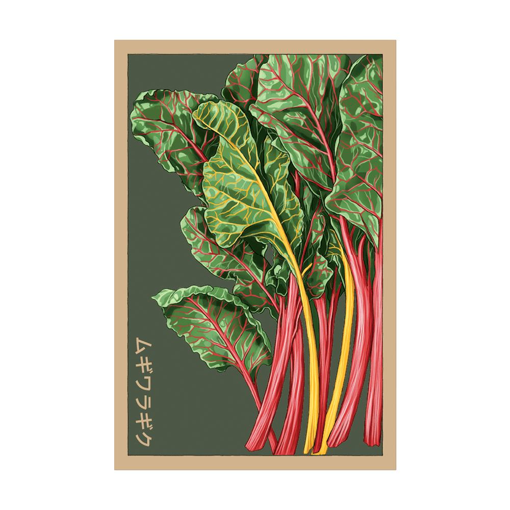 Rainbow Chard Vegetable Seeds Packet - Chive UK