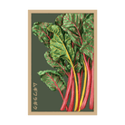 Rainbow Chard Vegetable Seeds Packet - Chive UK