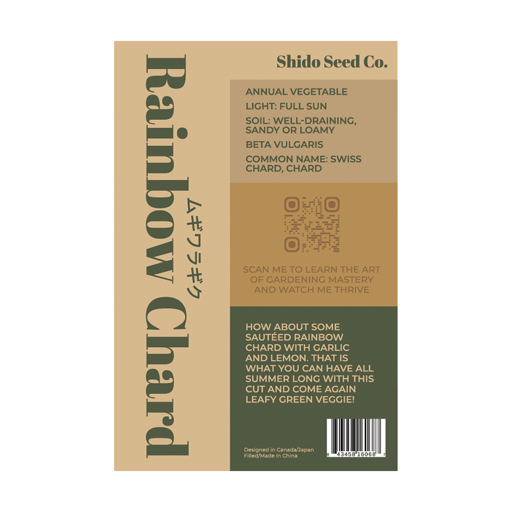 Rainbow Chard Vegetable Seeds Packet - Chive UK