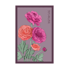 Ranunculus Flower Seeds Packet - Chive UK