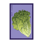 Romaine Lettuce Vegetable Seeds Packet - Chive UK