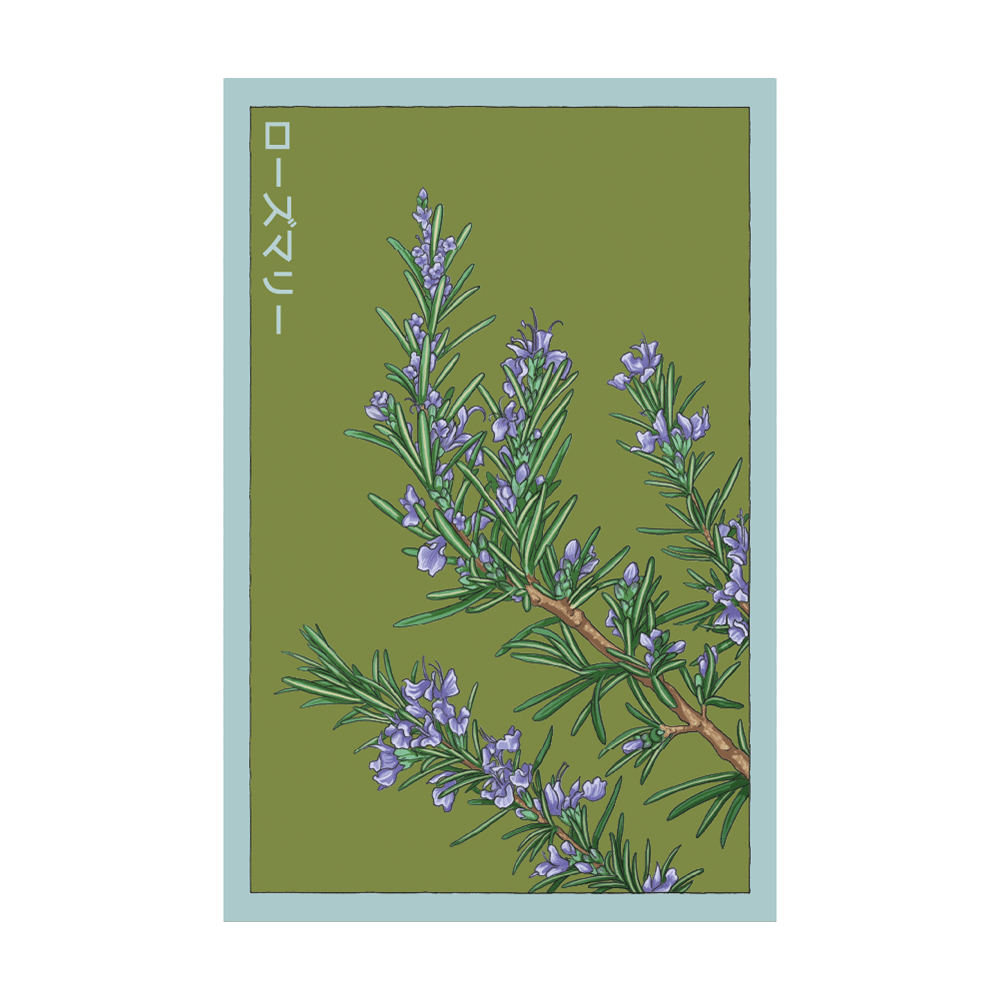 Rosemary Herb Seeds Packet - Chive UK