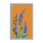 Sage Herb Seeds Packet - Chive UK