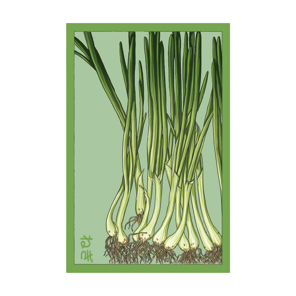 Scallions Vegetable Seeds Packet - Chive UK
