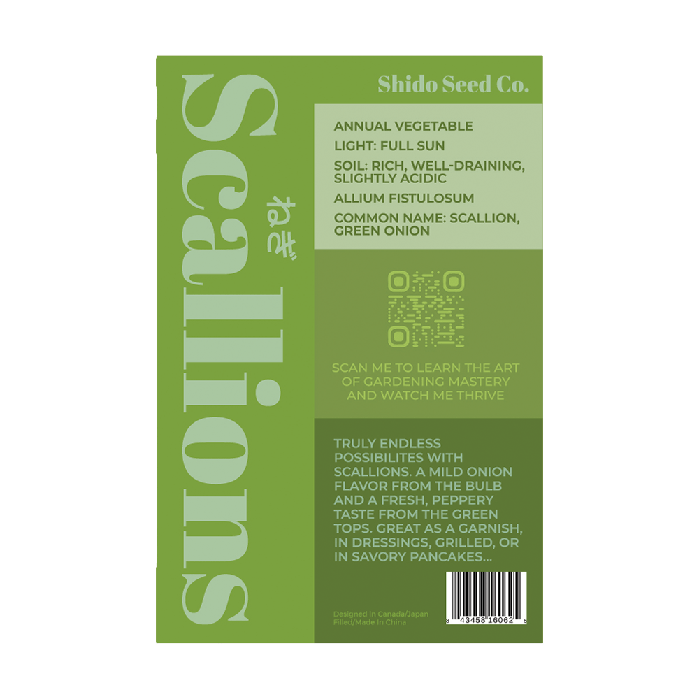 Scallions Vegetable Seeds Packet - Chive UK