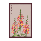 Snapdragon Flower Seeds Packet - Chive UK