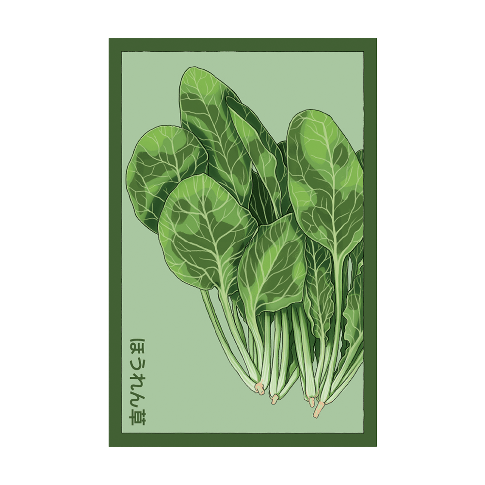 Spinach Vegetable Seeds Packet - Chive UK