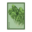 Spinach Vegetable Seeds Packet - Chive UK