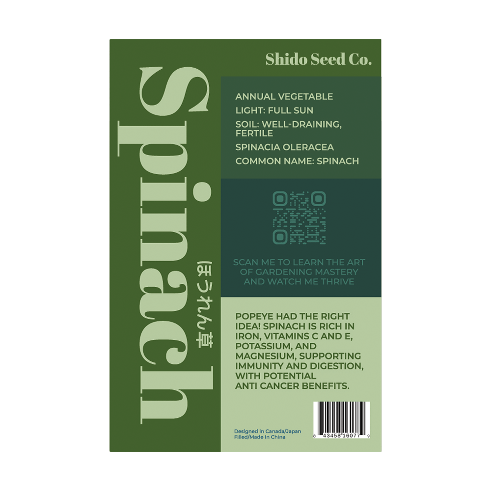 Spinach Vegetable Seeds Packet - Chive UK