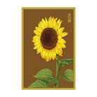 Sunflower Flower Seeds Packet - Chive UK