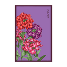 Verbena Flower Seeds Packet - Chive UK